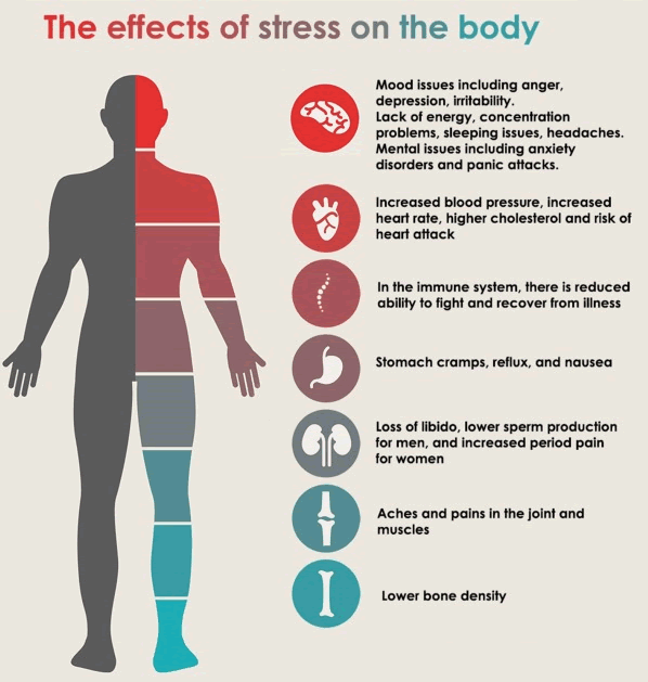 Stress: Consequences of stress