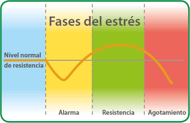 Qué es el estrés: fases del estrés