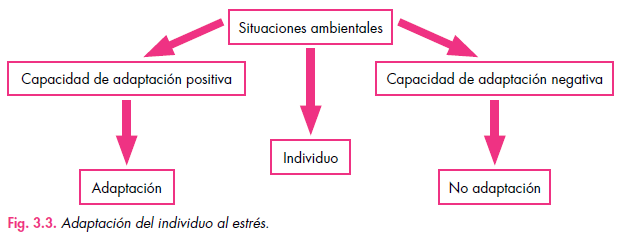 Qué es el estrés: adaptación al estrés