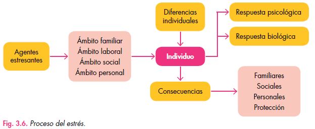 Qué es el estrés: consecuencias estrés